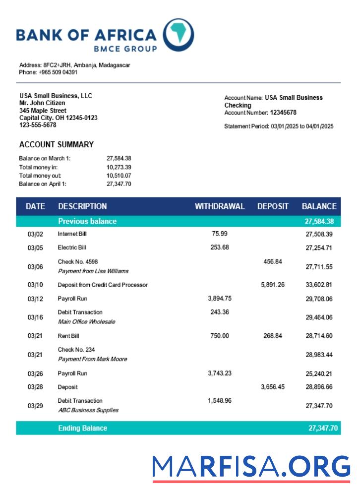 Blank Bank of Africa organization checking account statement Word and PDF template (1)